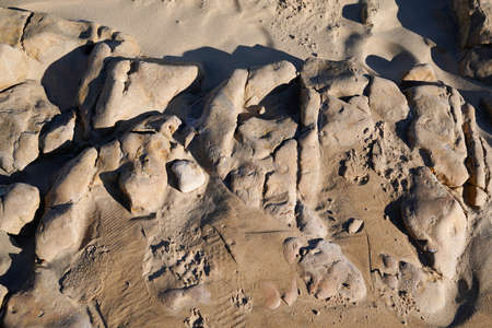 stones washed ashore on sand beach rock background