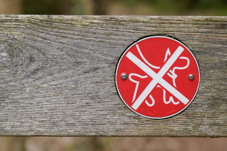 Prohibiting signs prohibited dog on wooden panelの写真素材
