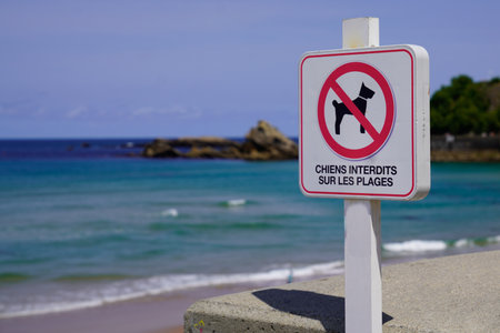 Prohibiting red signs dogs animals prohibited on beach dog sign french text meansの写真素材