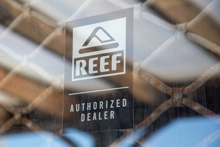 Bordeaux , Aquitaine France - 14 02 2023 : reef text sign and brand logo front surf board city fashion shop building facadeのeditorial素材
