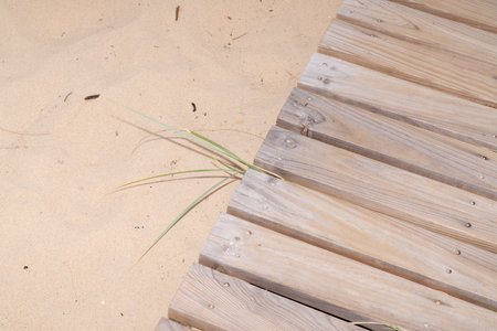 wooden grating access coast on floor beach sandの写真素材