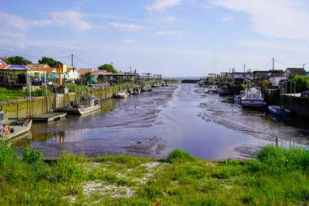 oyster farming oyster port of andernos low tide bay on the arcachon basin in Franceのeditorial素材