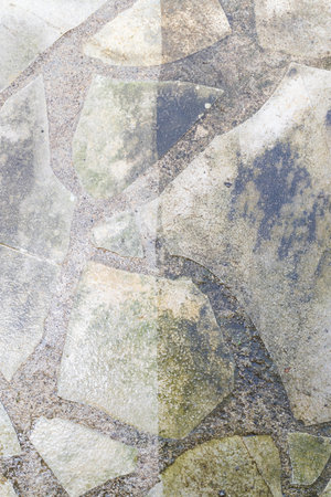 garden paved path floor half clean and dirty after an anti foam high pressure paving cleaning