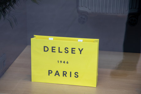 Lyon , France - 07 15 2023 : Delsey paris logo sign and brand text facade windows store of French...