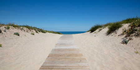 wooden path coast access sandy access beach entrance to ocean atlantic seaの写真素材