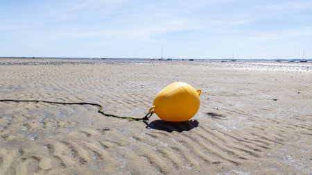 Yellow buoy on the sand beach on the shoreline in low tideの写真素材