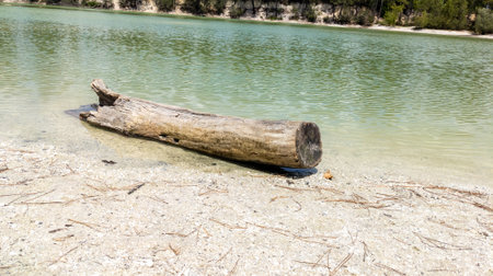 water Lake blue of Leognan Gironde Aquitaine sandy beach with big tree trunk driftwood in southwest Franceの写真素材