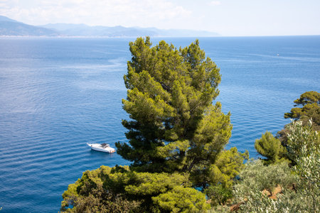 Portofino Mediterranean sea coast with pleasure boat in Natural Regional Park in italyの写真素材