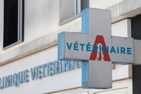Bordeaux , France -  04 11 2024 :  argos veterinary french chain Veterinaire text brand and logo sign for animals doctor medic pet city veterinary on entrance facadeのeditorial素材