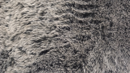 background long fluffy fur gray light condition as wallpaper