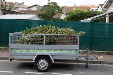 metal car trailer filled with green plant waste from garden pruning and mowing on residential...