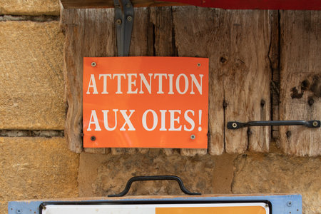 attention to geese french sign text means watch out for the geese ducks and ducklings crossing the roadの写真素材