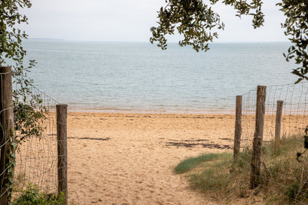 sandy pathway to access beach lined with steel rope in oleron islandの写真素材