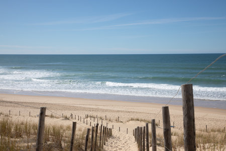 Beach pathway access on sand fence access sea in ocean atlantic coast in lege cap-ferret in Franceの写真素材