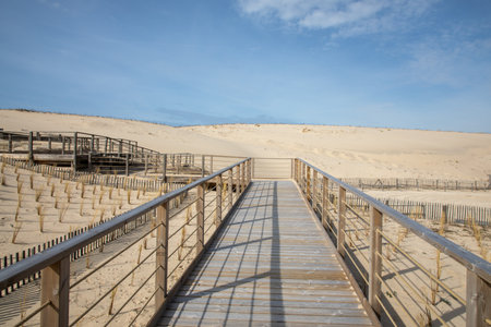 wooden pathway to access sea beach carcans beach with fence protect dune natural ocean coastの写真素材