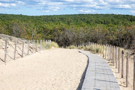 Wooden path in ocean sand dune in lege cap-ferret of atlantic in Franceの写真素材