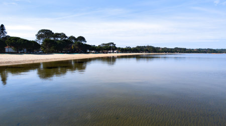 Lake water natural beach in French Lacanau lake medoc on southwest Gironde Aquitaine