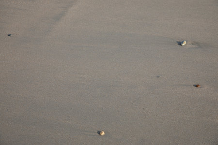 background beach fine sandy wave of sand in summer brown texture panoramicの写真素材