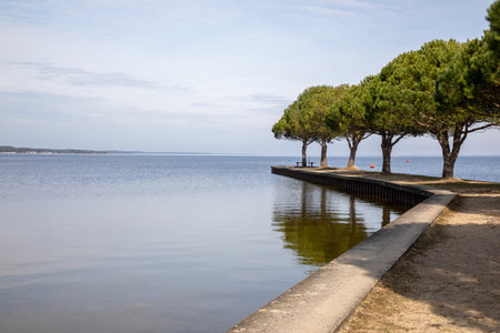 Lake reflection water natural beach in French Carcans Lake Medoc with tree on pontoon on Gironde Aquitaineの写真素材