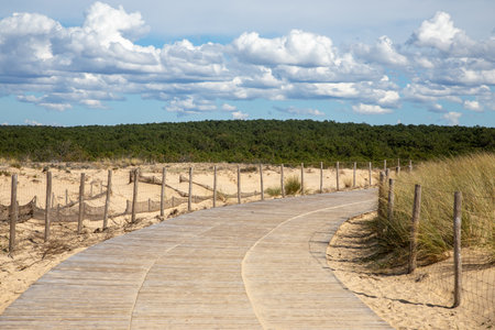 Wooden pathway in ocean sand dune grand crohot coast in lege cap-ferret of atlantic in Franceの写真素材