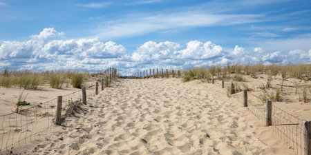 access ocean sandy pathway fence wooden to ocean beach atlantic sea coastの写真素材