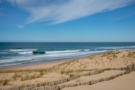 Wooden fence in ocean sand dune in lege cap-ferret of atlantic in Franceの写真素材