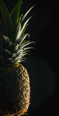 panoramic frameの写真素材