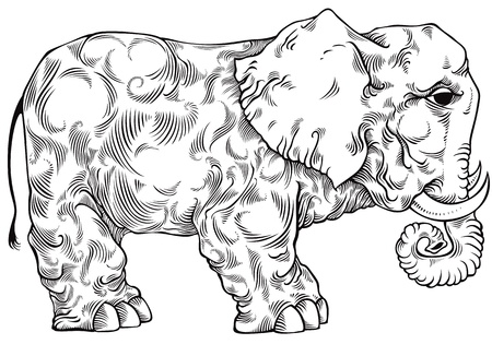 Elephant black and white drawing.のイラスト素材