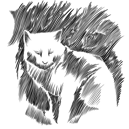 Cat vector drawing.のイラスト素材