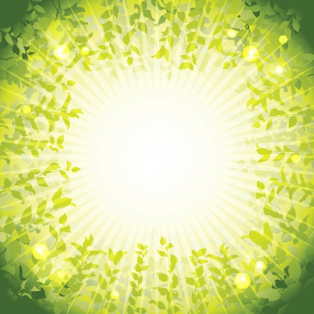 Green nature background, vector illustration のイラスト素材