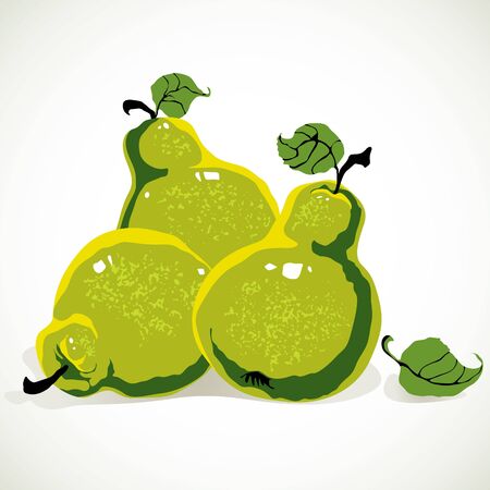 Green-yellow pears and leaves.のイラスト素材