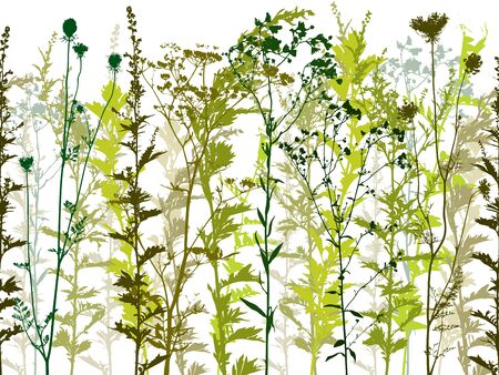 Natural wild plants and weeds silhouettes set のイラスト素材