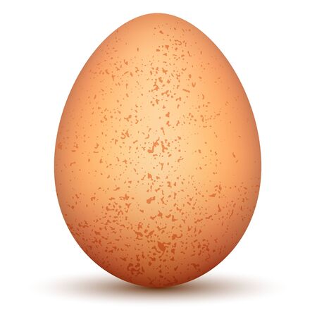 Egg のイラスト素材