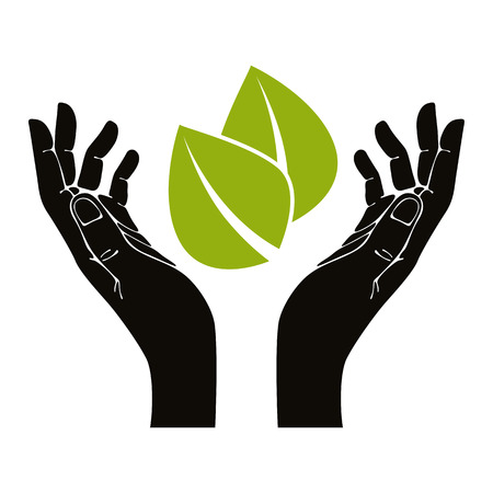 Hands with leaf vector symbol.のイラスト素材