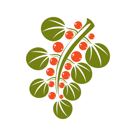 Single simple green vector leaf with orange seeds, stylized nature element. Ecology symbol, can be used in graphic design. Deciduous tree leaf.のイラスト素材