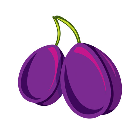 Two purple simple vector plums, ripe sweet fruits illustration. Healthy and organic food, harvest season symbol.のイラスト素材