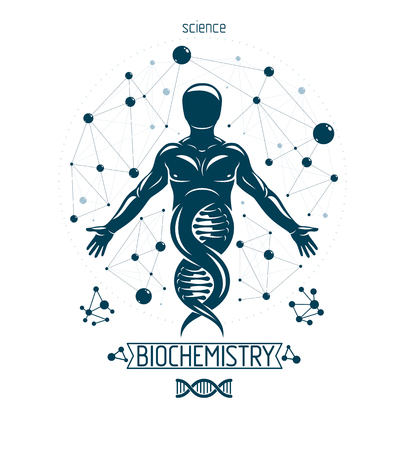 Vector graphic illustration of strong male depicted as DNA symbol continuation and created with wireframe connections. Bioengineering as the direction of genetics.のイラスト素材