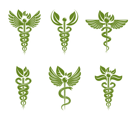 Collection of Caduceus illustrations composed with poisonous snakes and bird wings, healthcare conceptual vector symbols. Alternative medicine theme.のイラスト素材