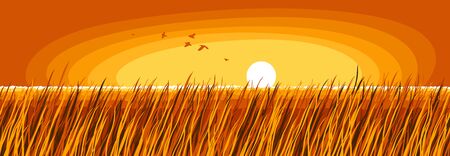 Grassland meadow in setting sun of evening sundown scenic tranquil and calm landscape vector illustration, forget about all the problems and relax concept.のイラスト素材