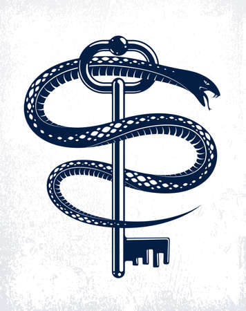 Snake wraps around vintage key, protected secret concept, turnkey and serpent old style tattoo, vector symbol logo or emblem.のイラスト素材