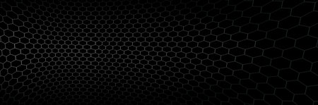 Technology vector abstract background with hexagons mesh, 3D abstraction of nanotechnology and...