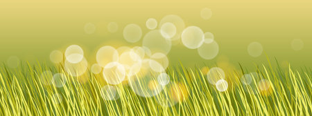 Beautiful green grass with bokeh blurred lights of dew on it vector illustration, morning sunlight, nature field and meadow background, ecology, grassland.のイラスト素材