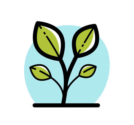 Small growing plant botanic vector linear icon isolated on white background.のイラスト素材