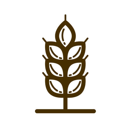 Ripe wheat spike vector linear icon isolated on white background, design element for emblem or logo creation for agriculture or healthy food theme.のイラスト素材