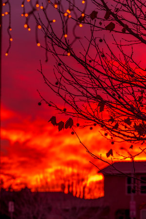 Enjoying the Sunsetの写真素材
