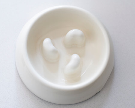 Slow Feeder Dog Bowl for fast eaterの写真素材