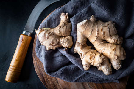Fresh ginger roots on a dark backgroundの写真素材