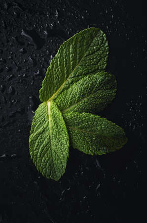 Fresh mint leaves on a black stone background with copy space