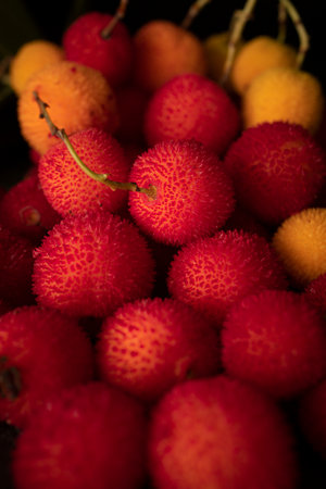Arbutus, the fruit of the strawberry tree, with a black background and with copy space. Ripe wild berries with rough textureの写真素材