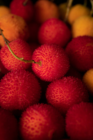 Arbutus, the fruit of the strawberry tree, with a black background and with copy space. Ripe wild berries with rough textureの写真素材